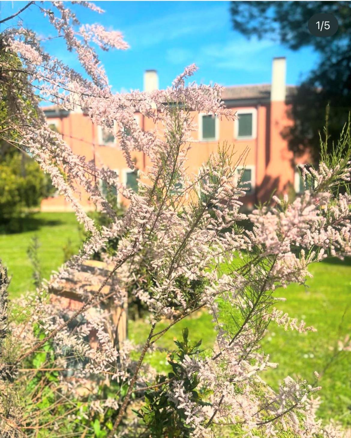 Agriturismo Ca' Bonelli 1924 Scardovari Екстер'єр фото
